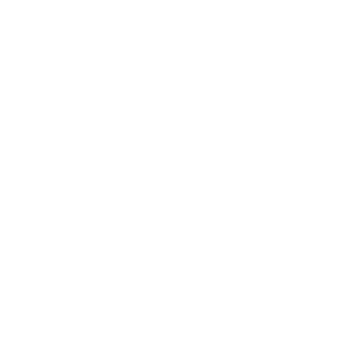 Lopes RM