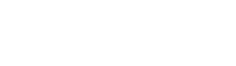 Lopes RM